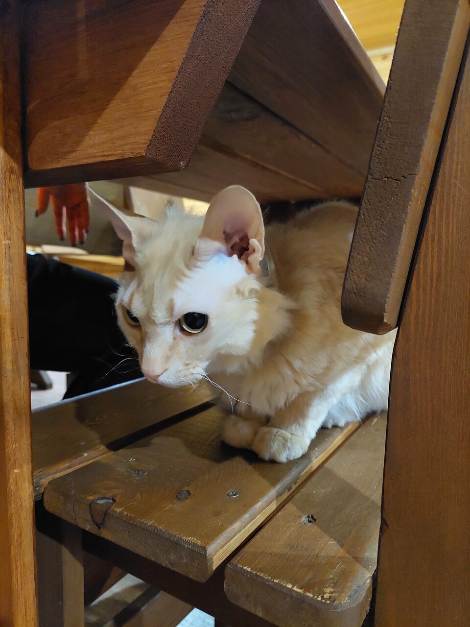 База отдыха Эльдорадо Сахюрта-108