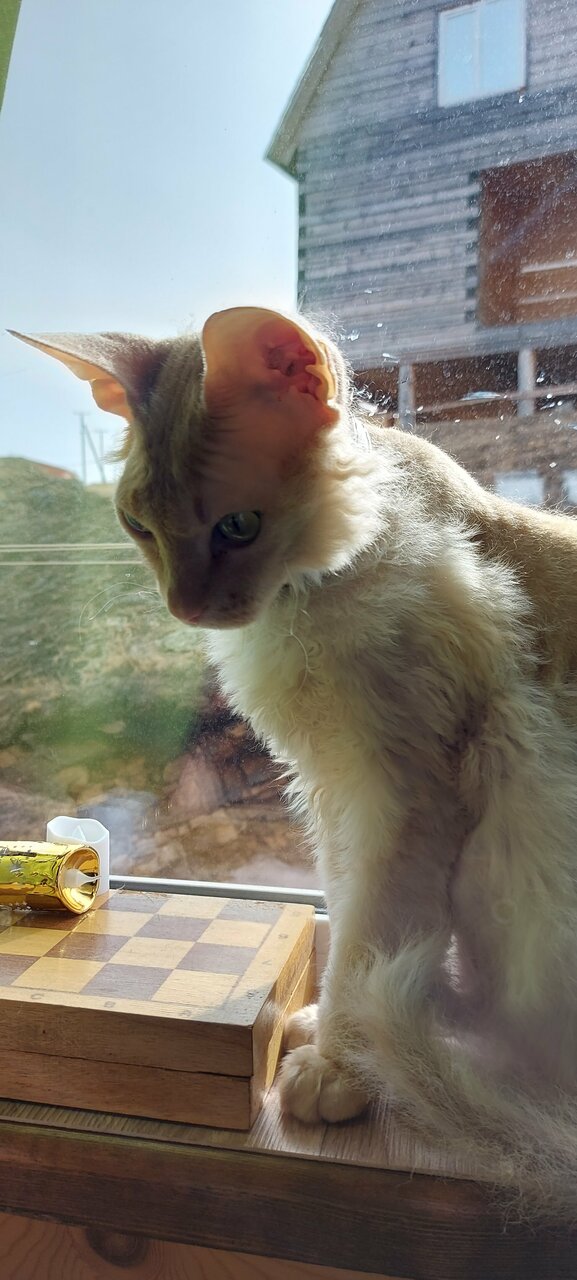 База отдыха Эльдорадо Сахюрта-183