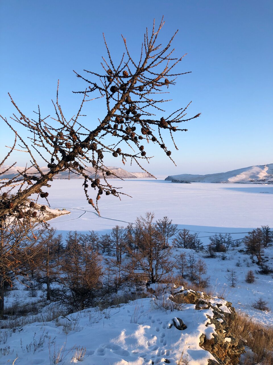 База отдыха Эльдорадо Сахюрта-53