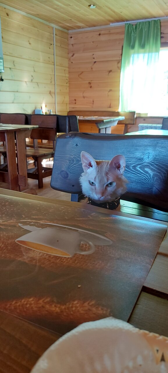 База отдыха Эльдорадо Сахюрта-100