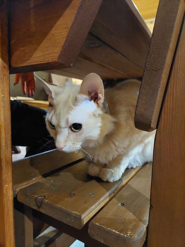 База отдыха Эльдорадо Сахюрта-107