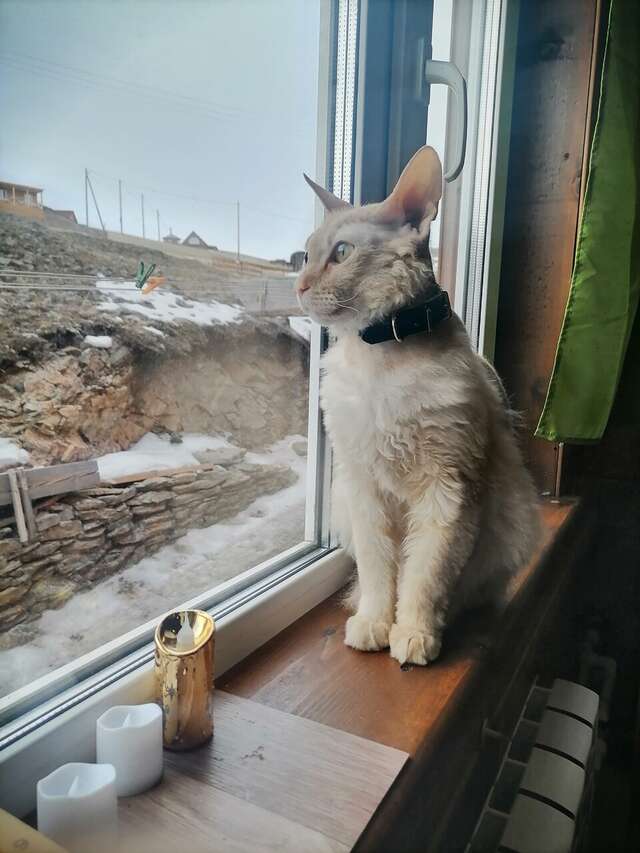 База отдыха Эльдорадо Сахюрта-62